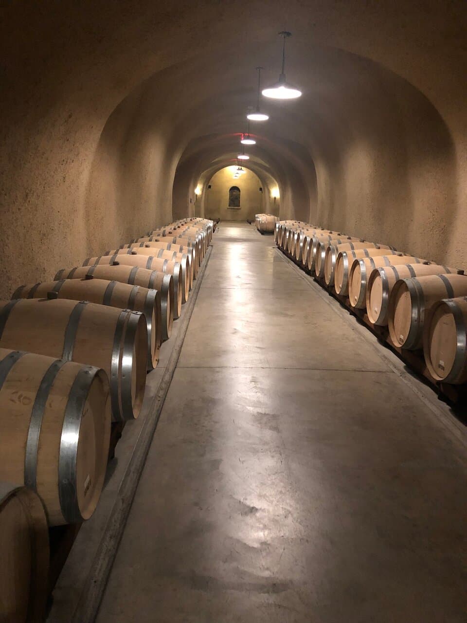 Jericho Canyon Vineyard