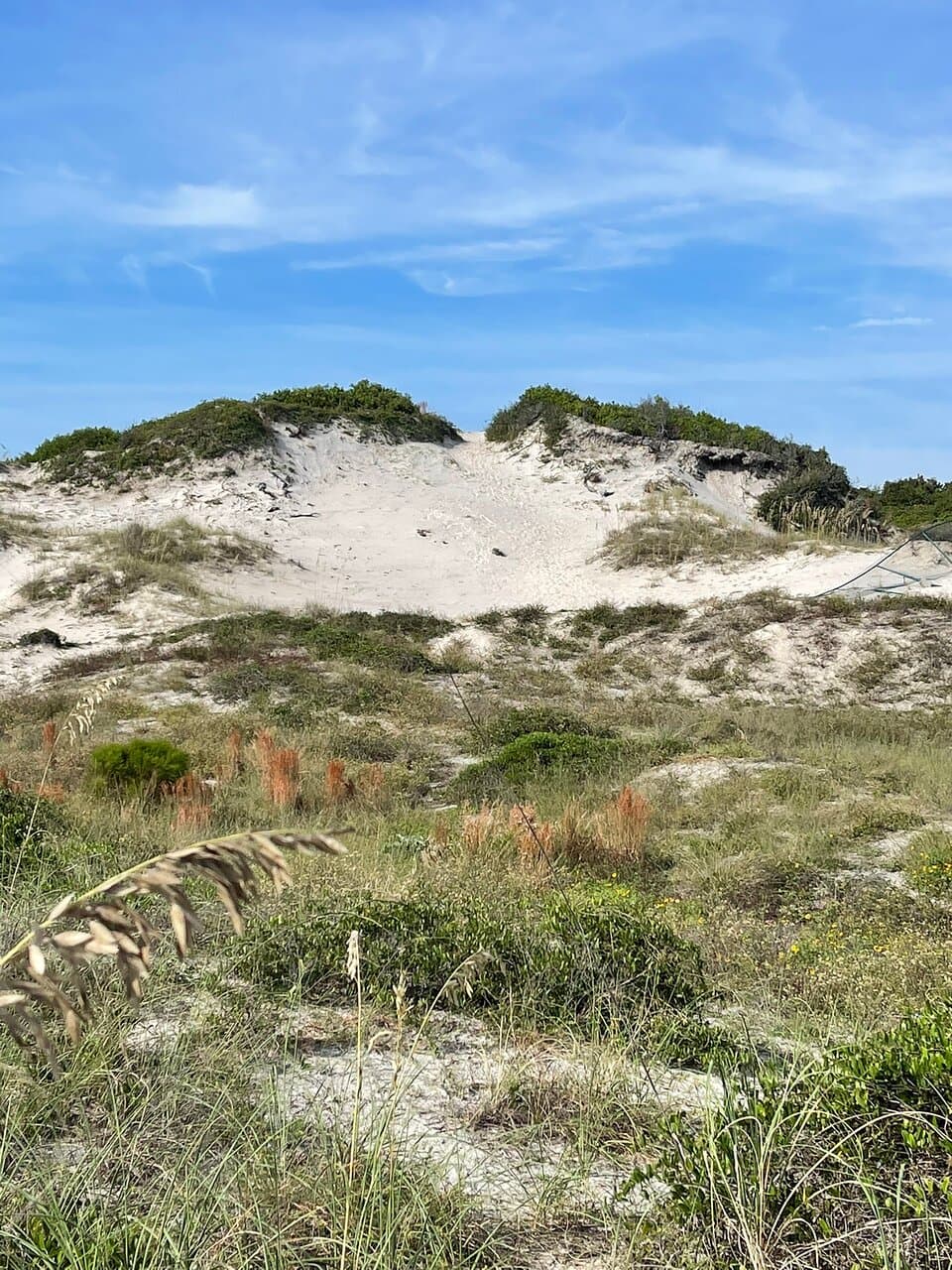 Nana Dune