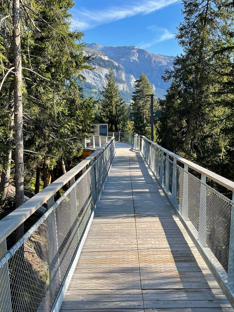 Senda dil Dragun Treetop Walk
