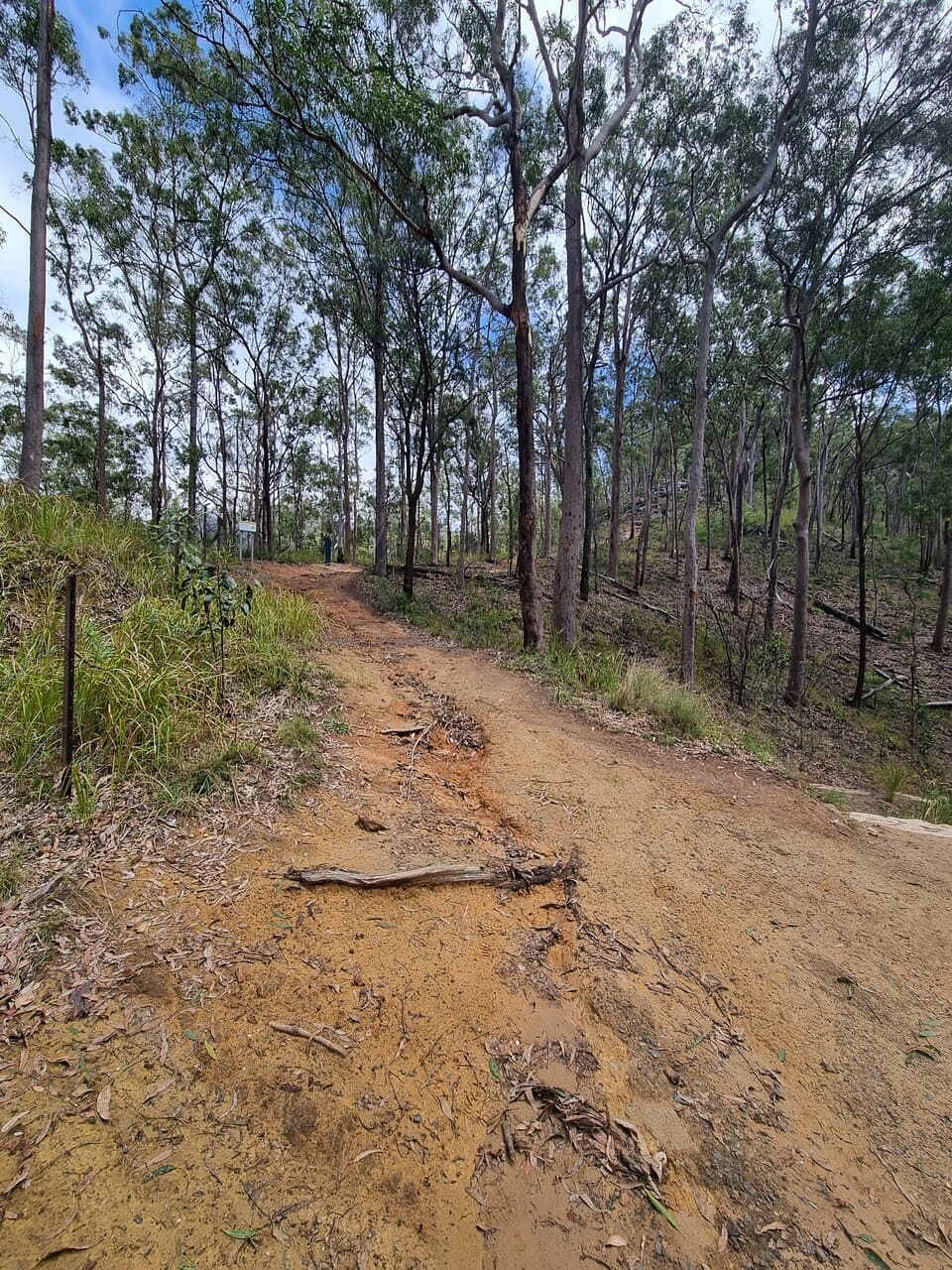 Track up to the Yellow Pinch Lookout