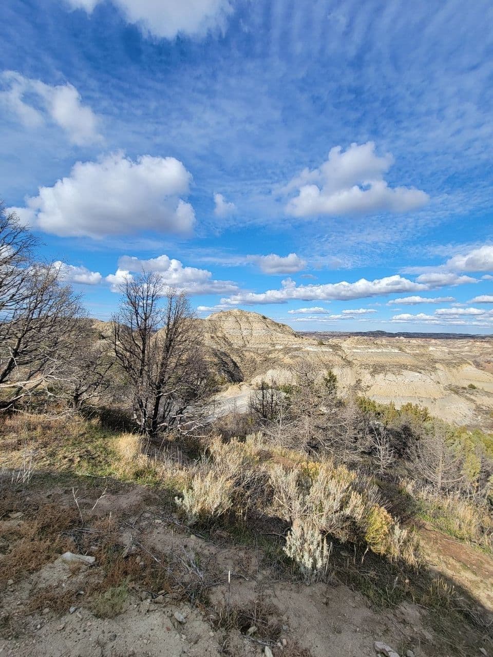 Scenic Drive at Red Rock Canyon