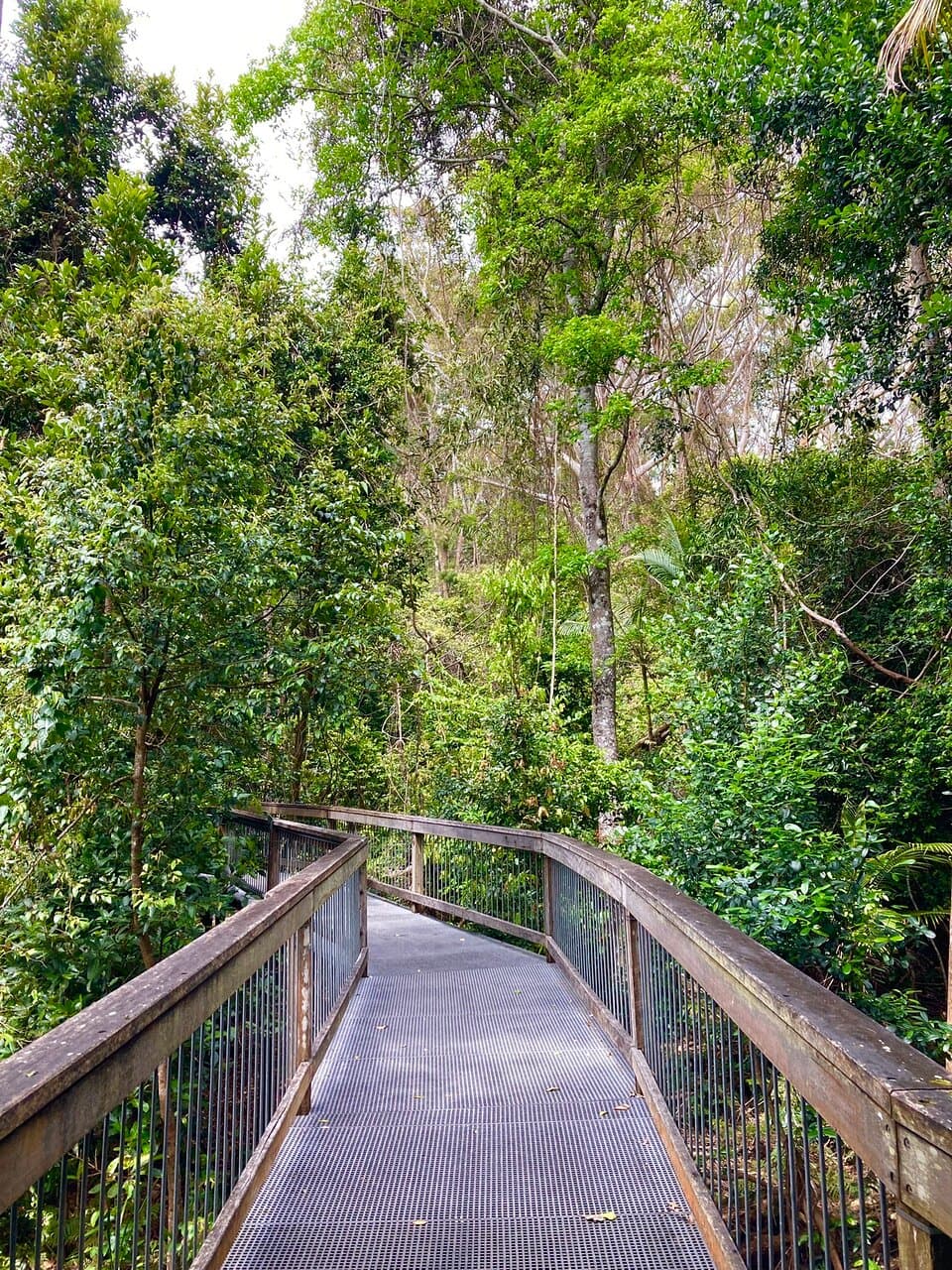 Sea Acres Rainforest Centre and Boardwalk