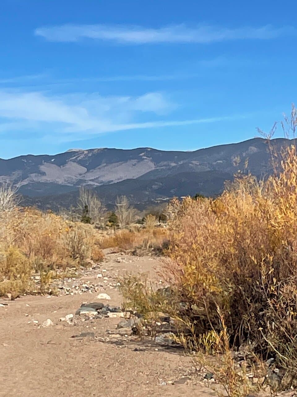 Riverbed trail in Frenchy Field's Park