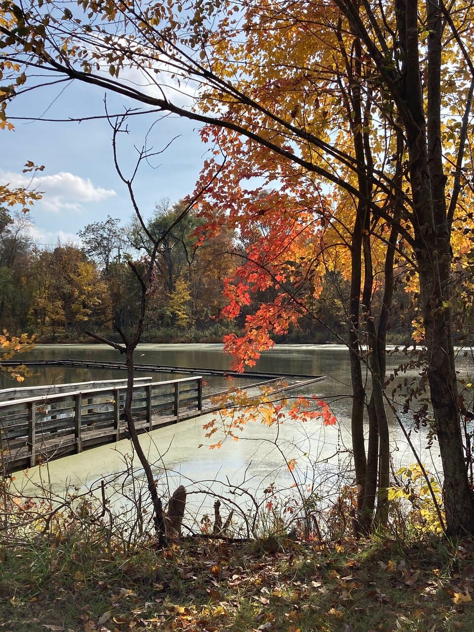 This view is from the picnic table near the parking area.