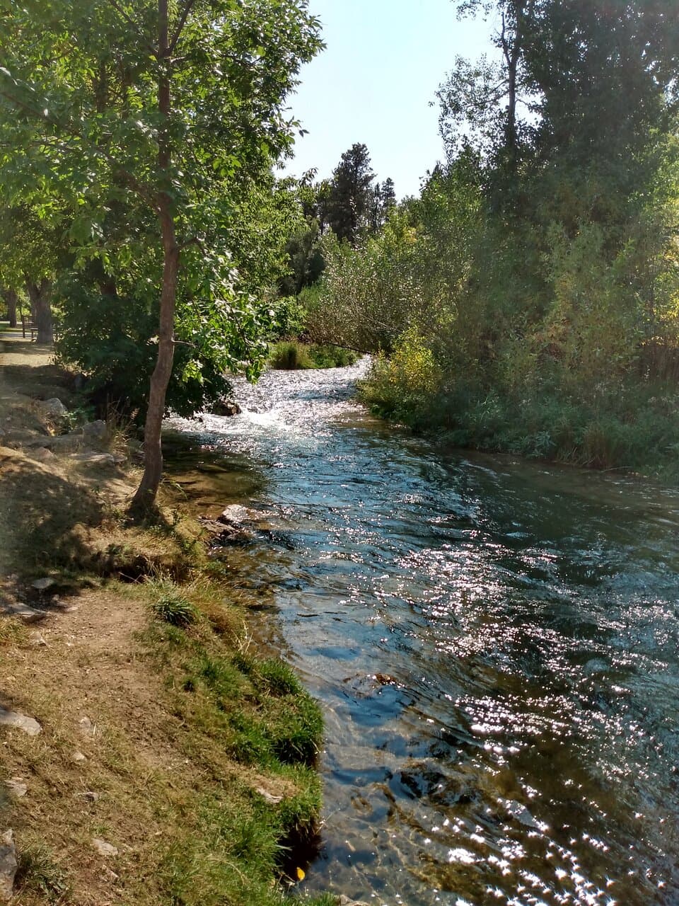 Spearfish Creek