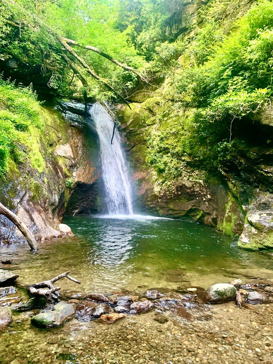 Beautiful hike with a gorgeous waterfall at the end. Even mid summer we didn’t see anyone else on the trail!