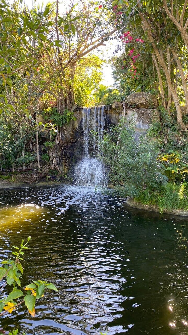 Garden of the Groves