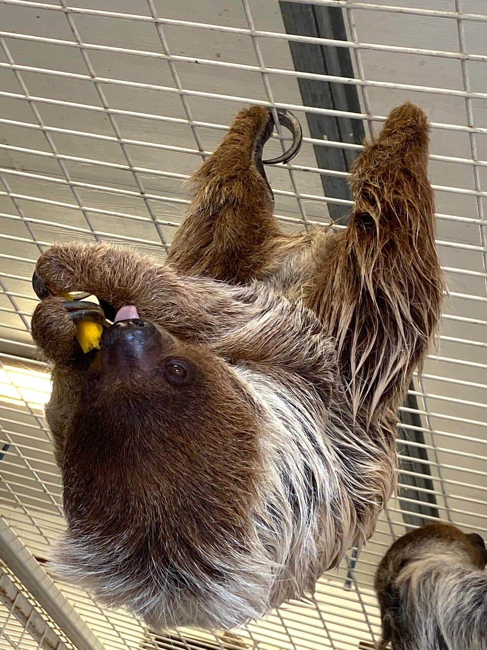 TGR Exotics Wildlife Park