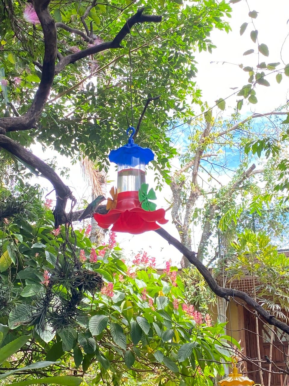 Jardín de los Picaflores Hummingbird Garden