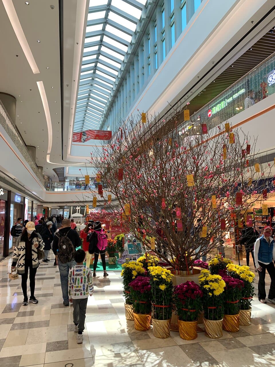 Peak Galleria - shopping mall