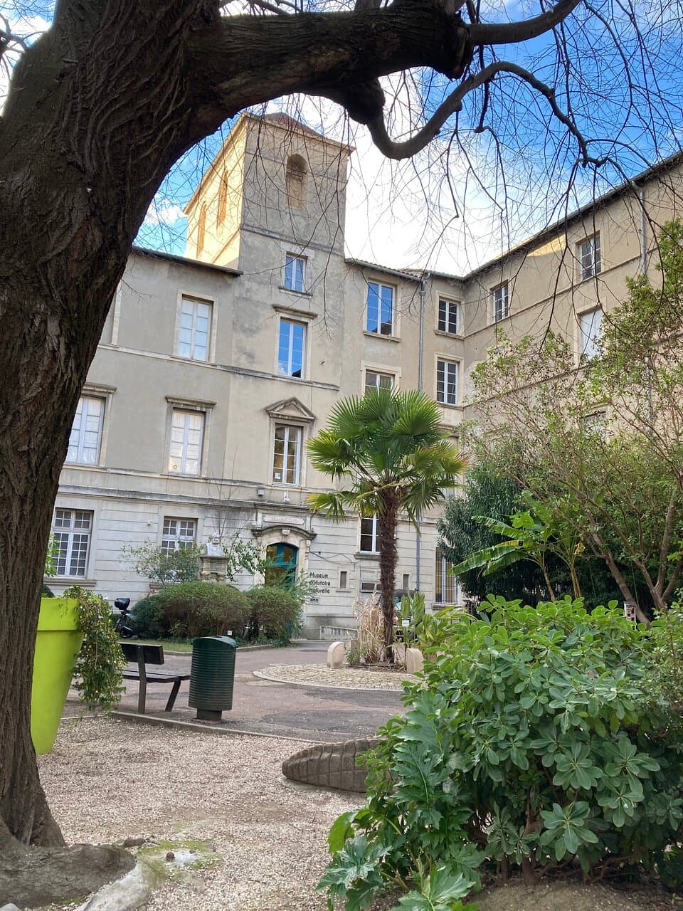 Museum D'Histoire Naturelle