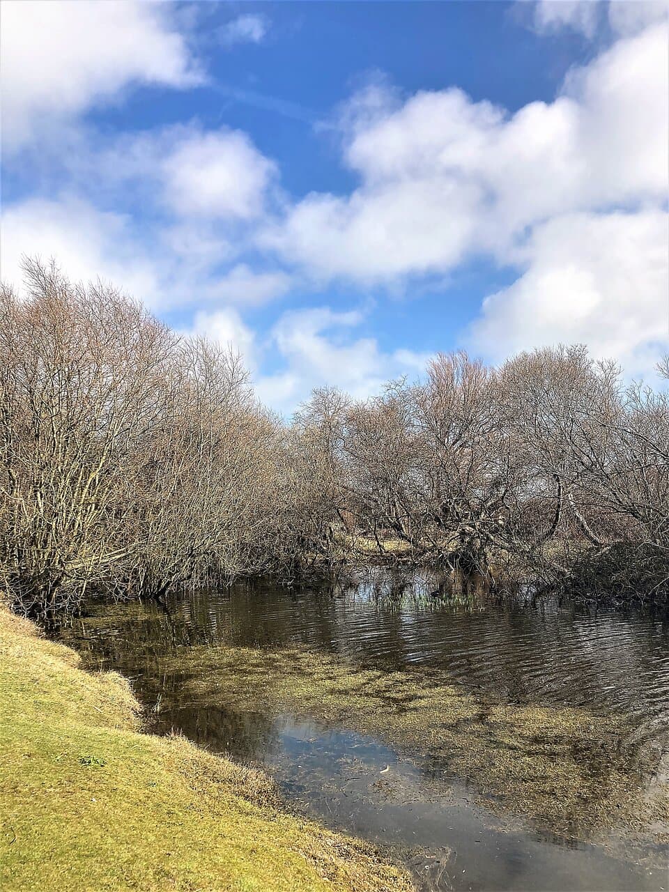 9. Romney Warren Nature Reserve, New Romney, Kent (March 2022)