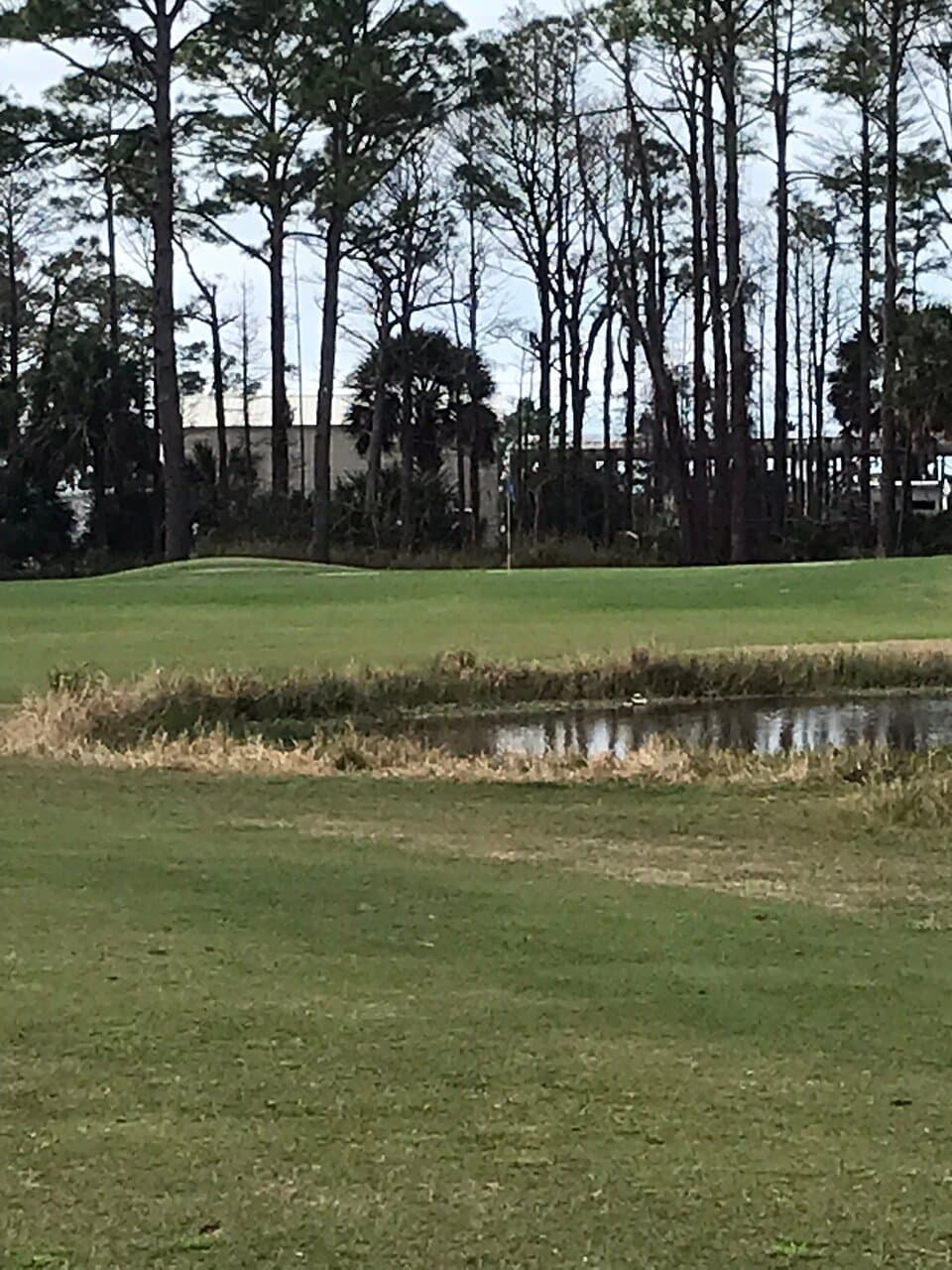 St. Joseph Bay Golf Club