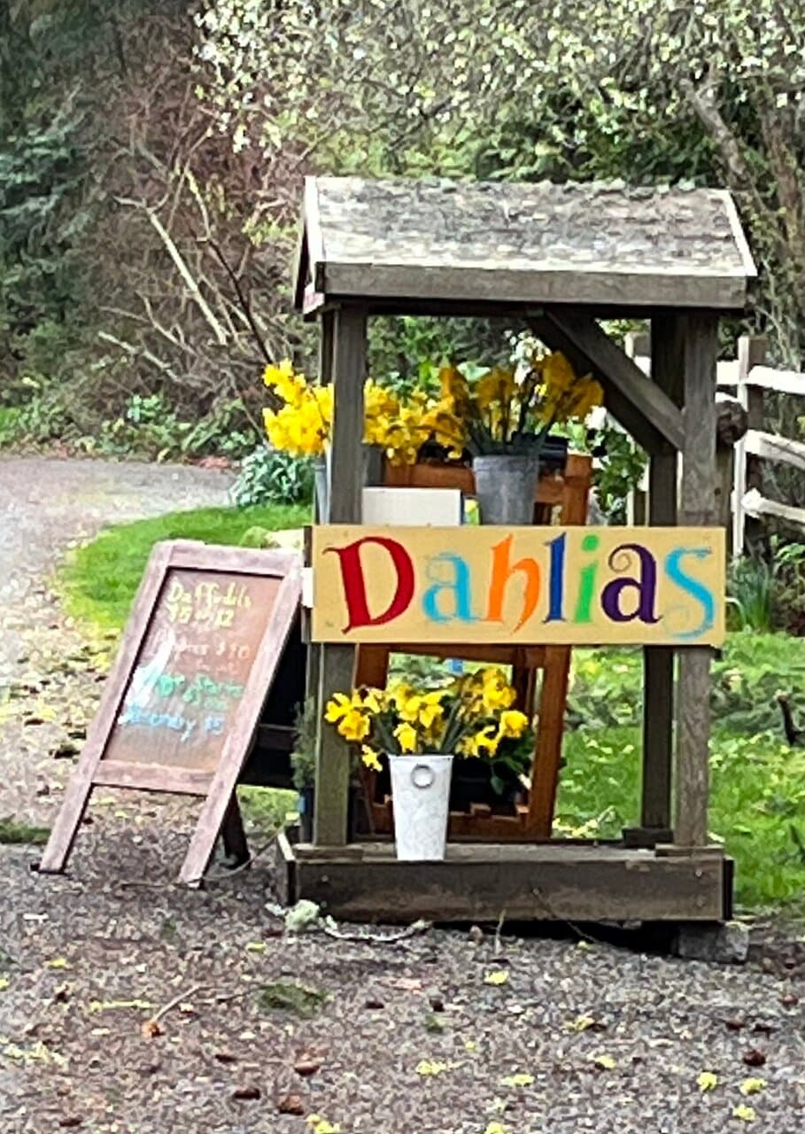 Hall's Hill Lookout and Labyrinth
