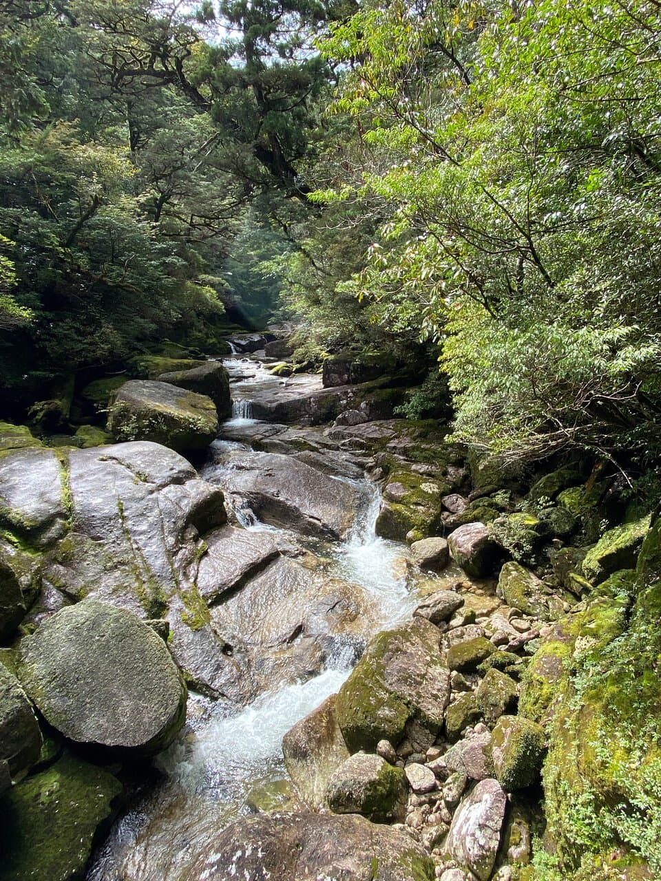 清流