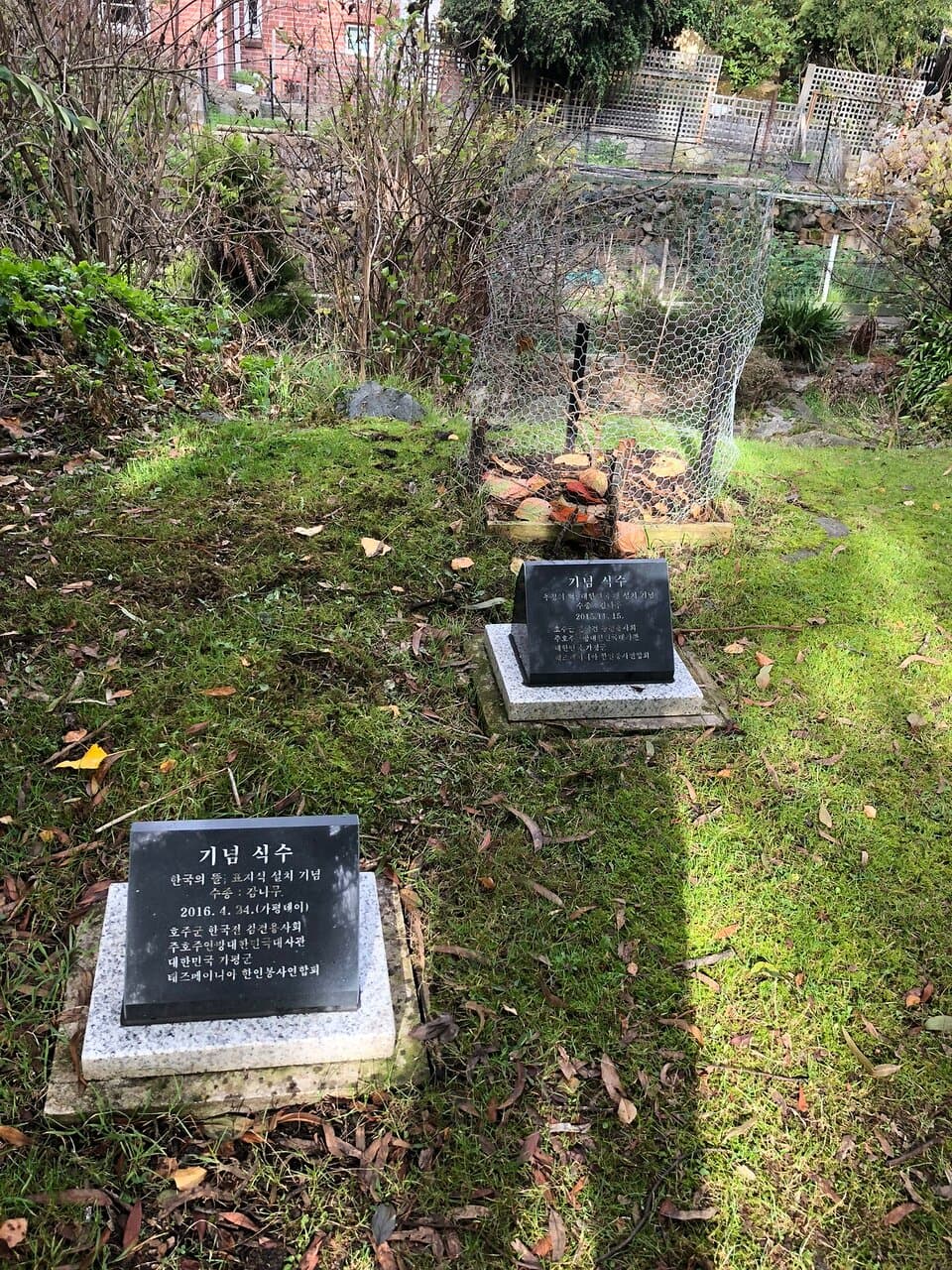 Hobart Rivulet Track