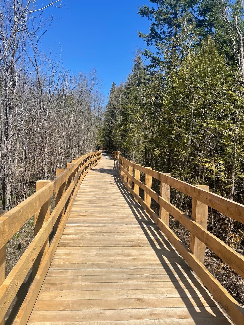Pont à l’entrée du sentier à accessibilité universelle.