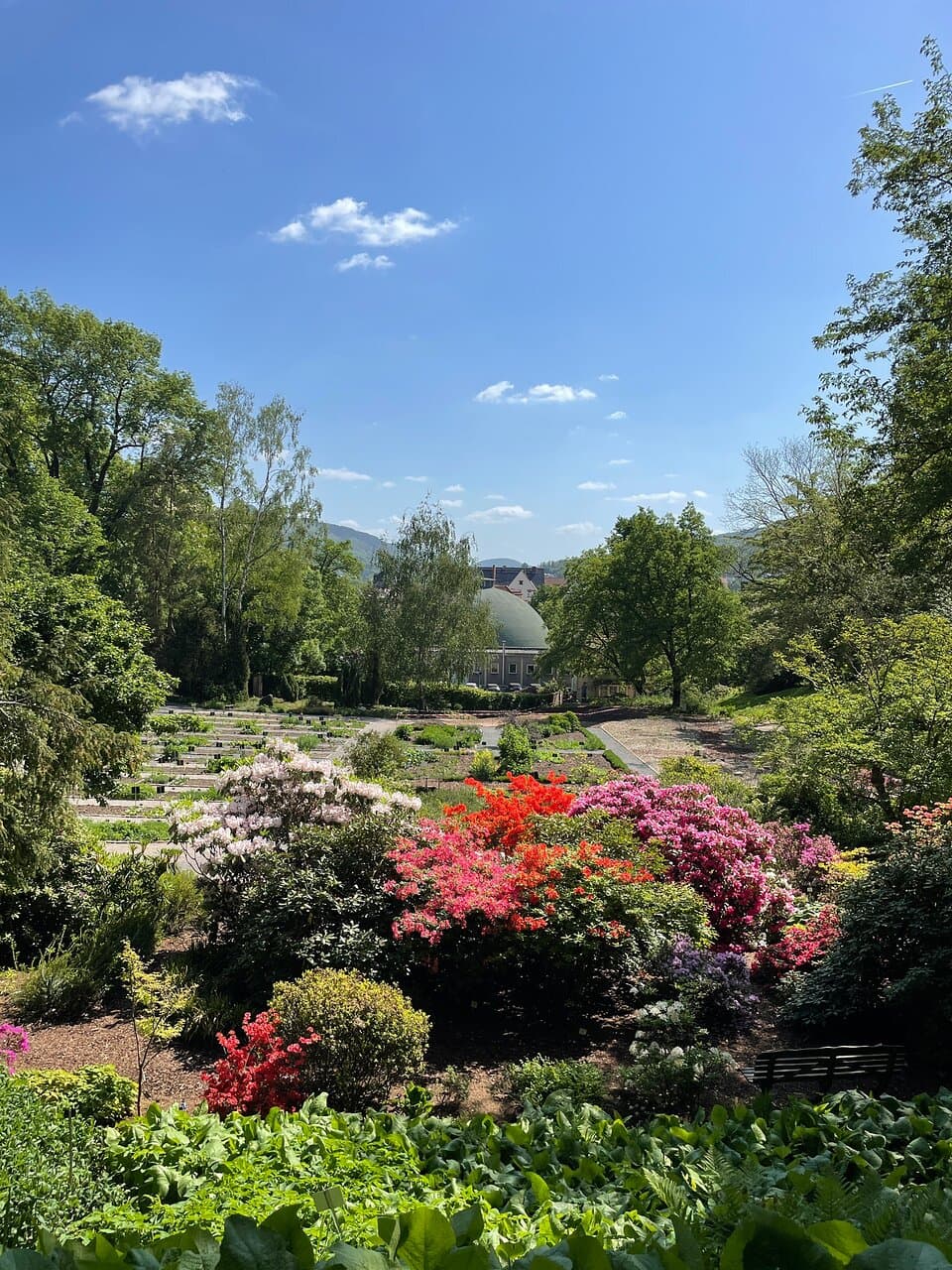 Botanical Garden Jena