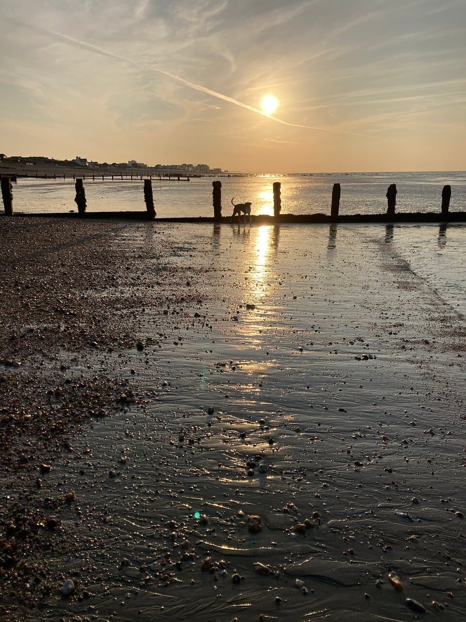 Aldwick Beach Bognor Regis