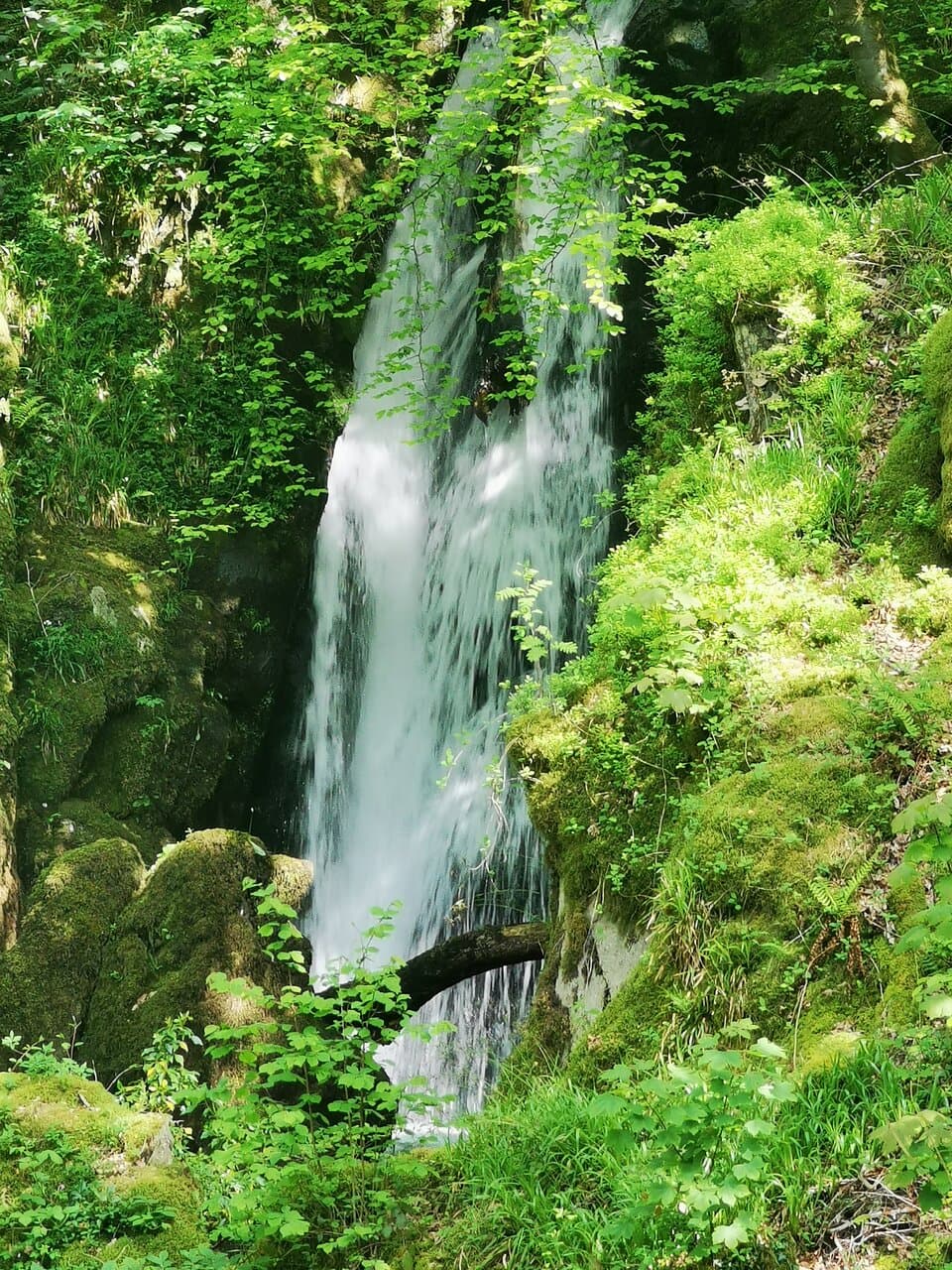 Jenkins Crag