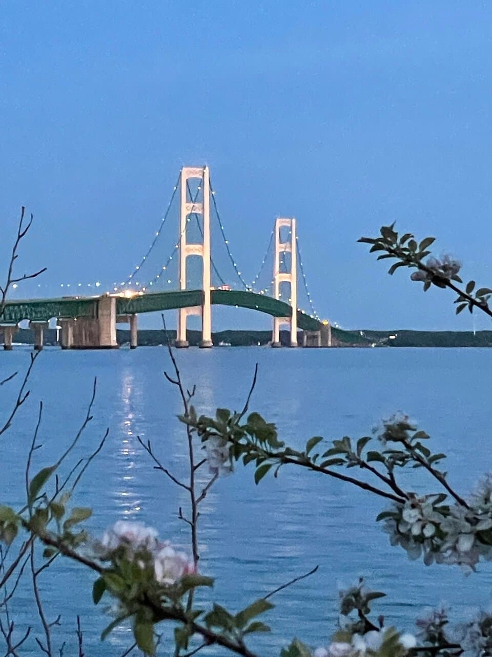 Bridge View Park