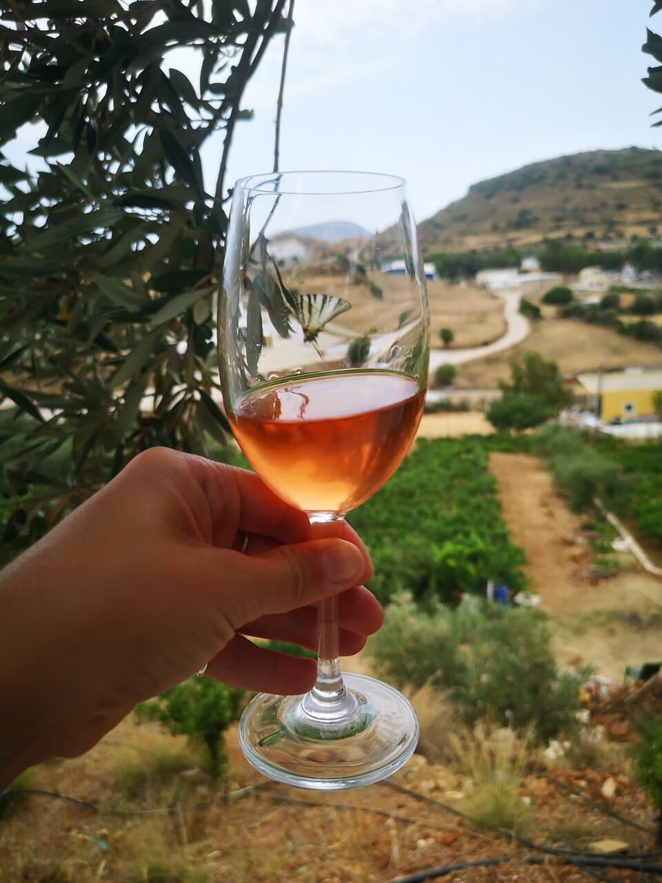 Hatzidakis Winery Santorini