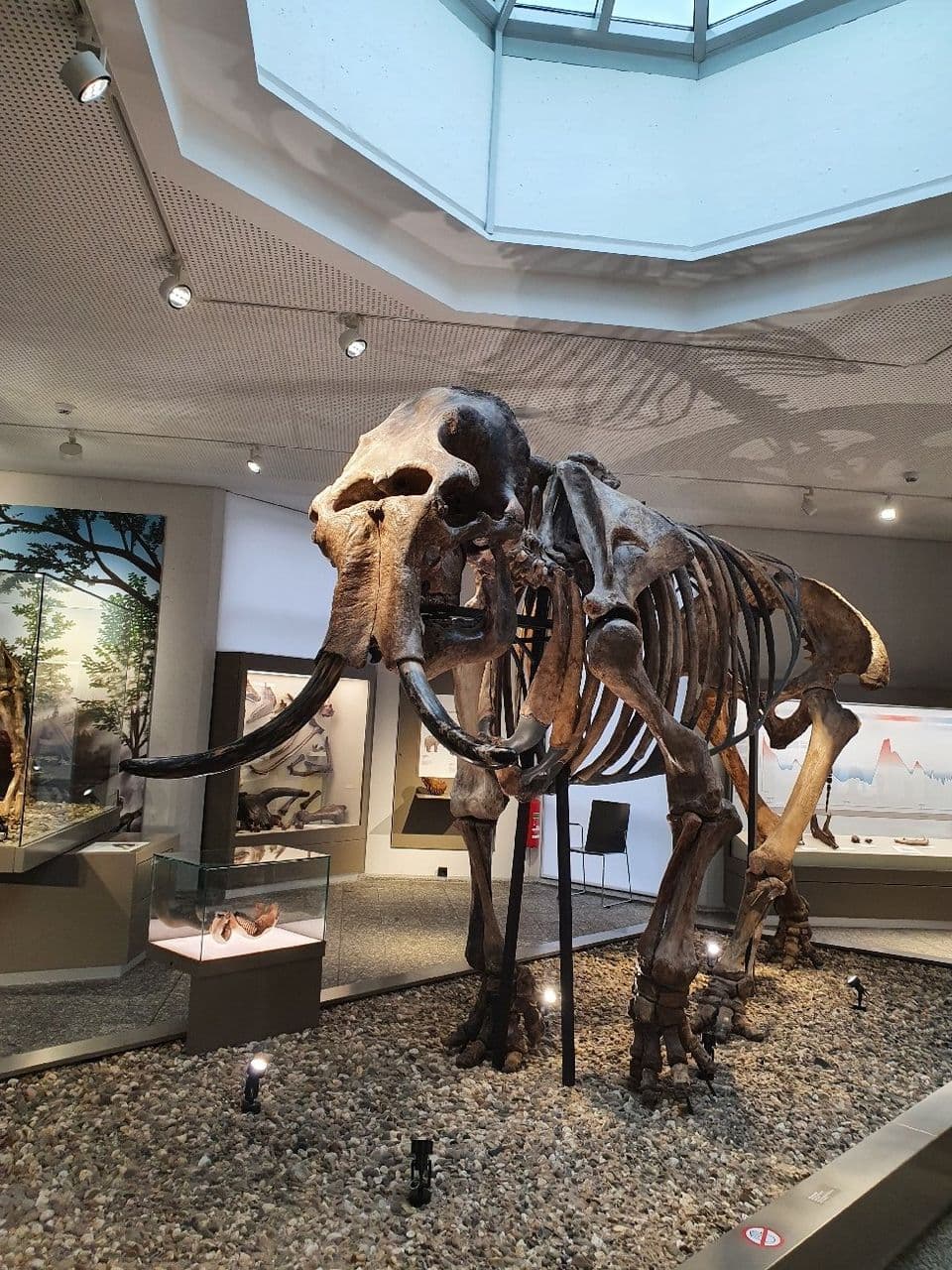 Naturmuseum Dortmund