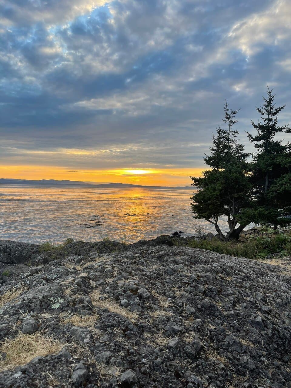 South Beach is beautiful. It is filled with driftwood and small pebbles.