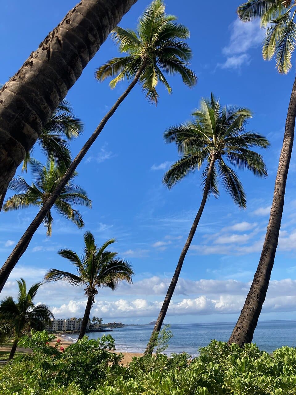 Charley Young Beach Kihei