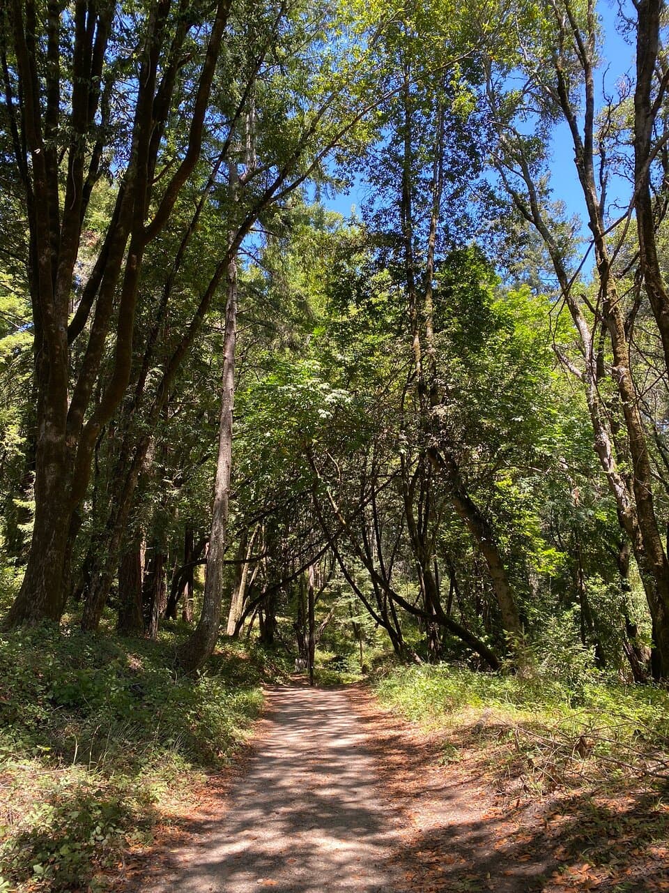 Pogonip Open Space