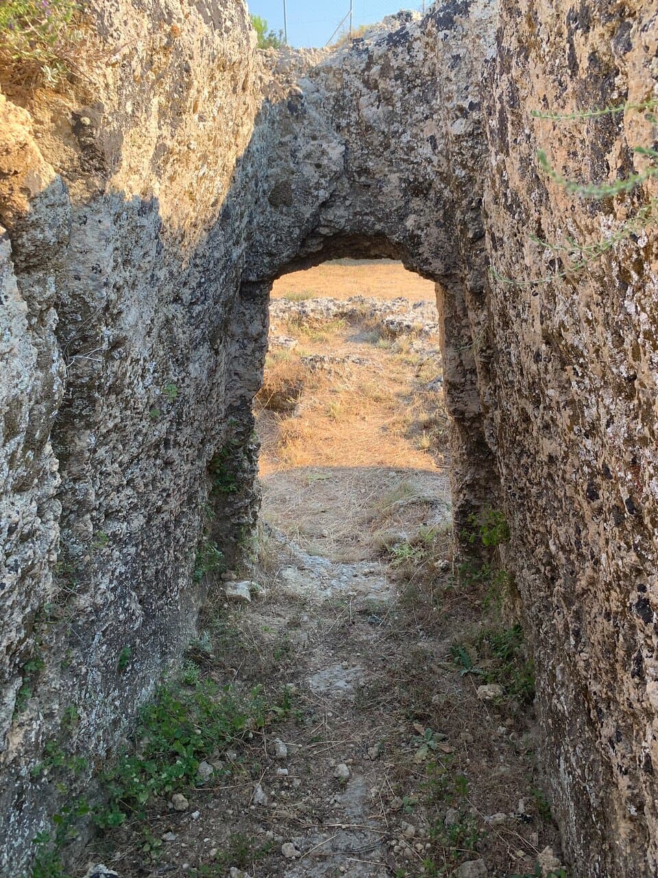 Mycenaean Cemetery Pellana