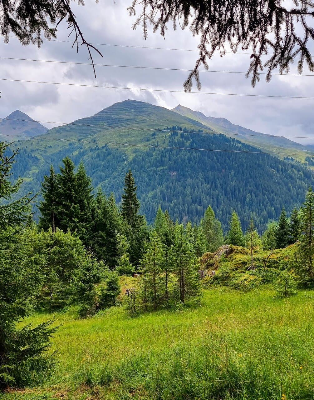 Sennhütte and Senn's WonderWalking Trail