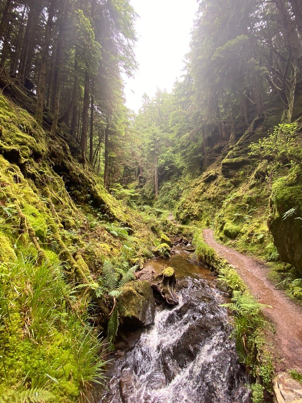 Puck's Glen
