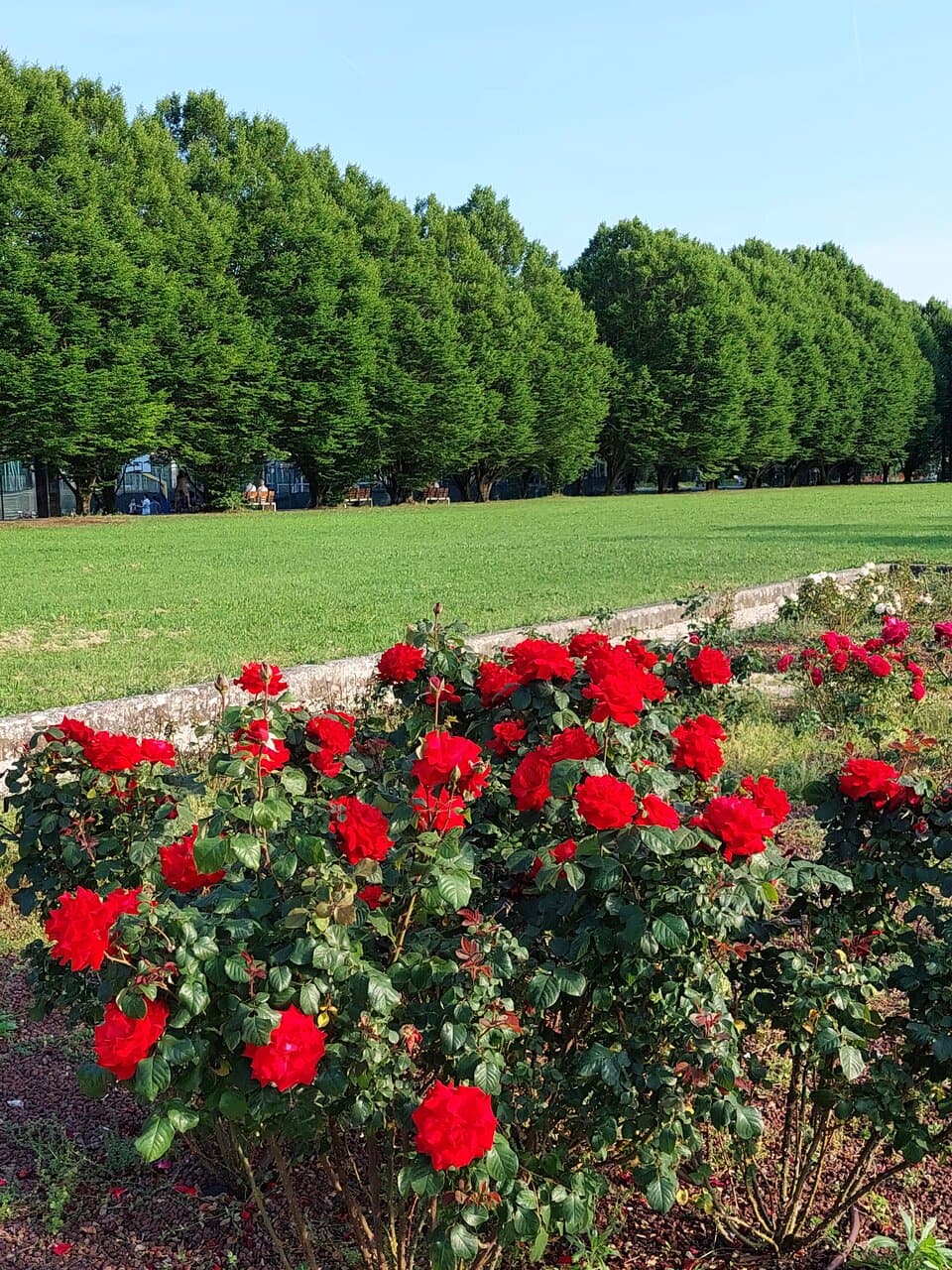 Parco Albanese Bissuola