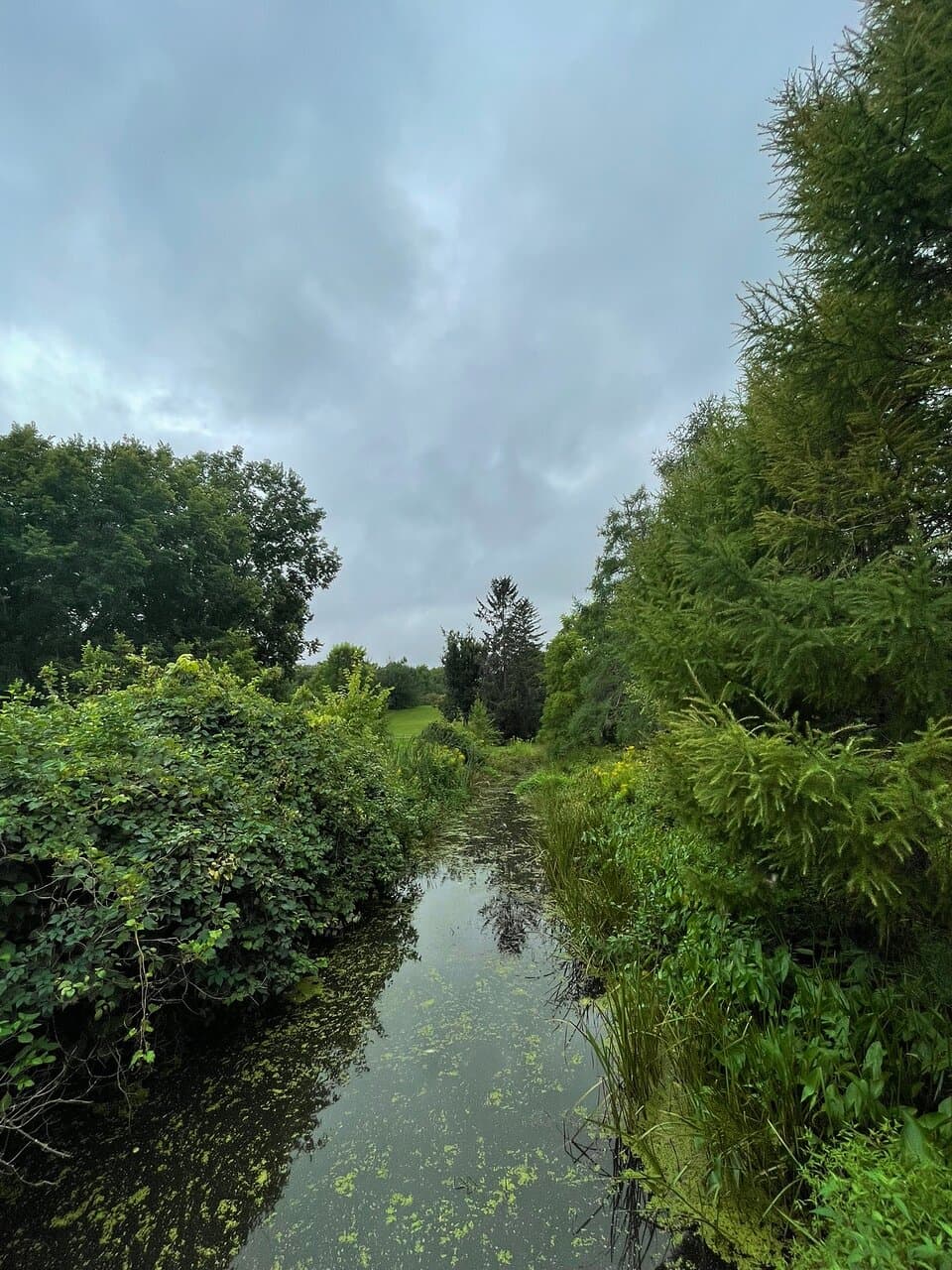 Fletcher Wildlife Garden