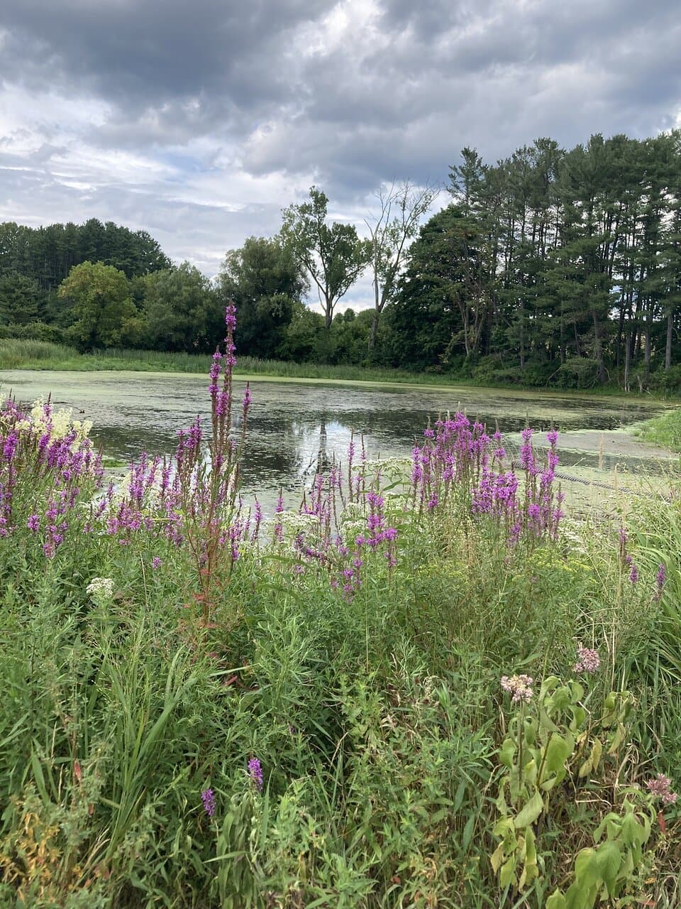 Canoe Meadows Wildlife Sanctuary