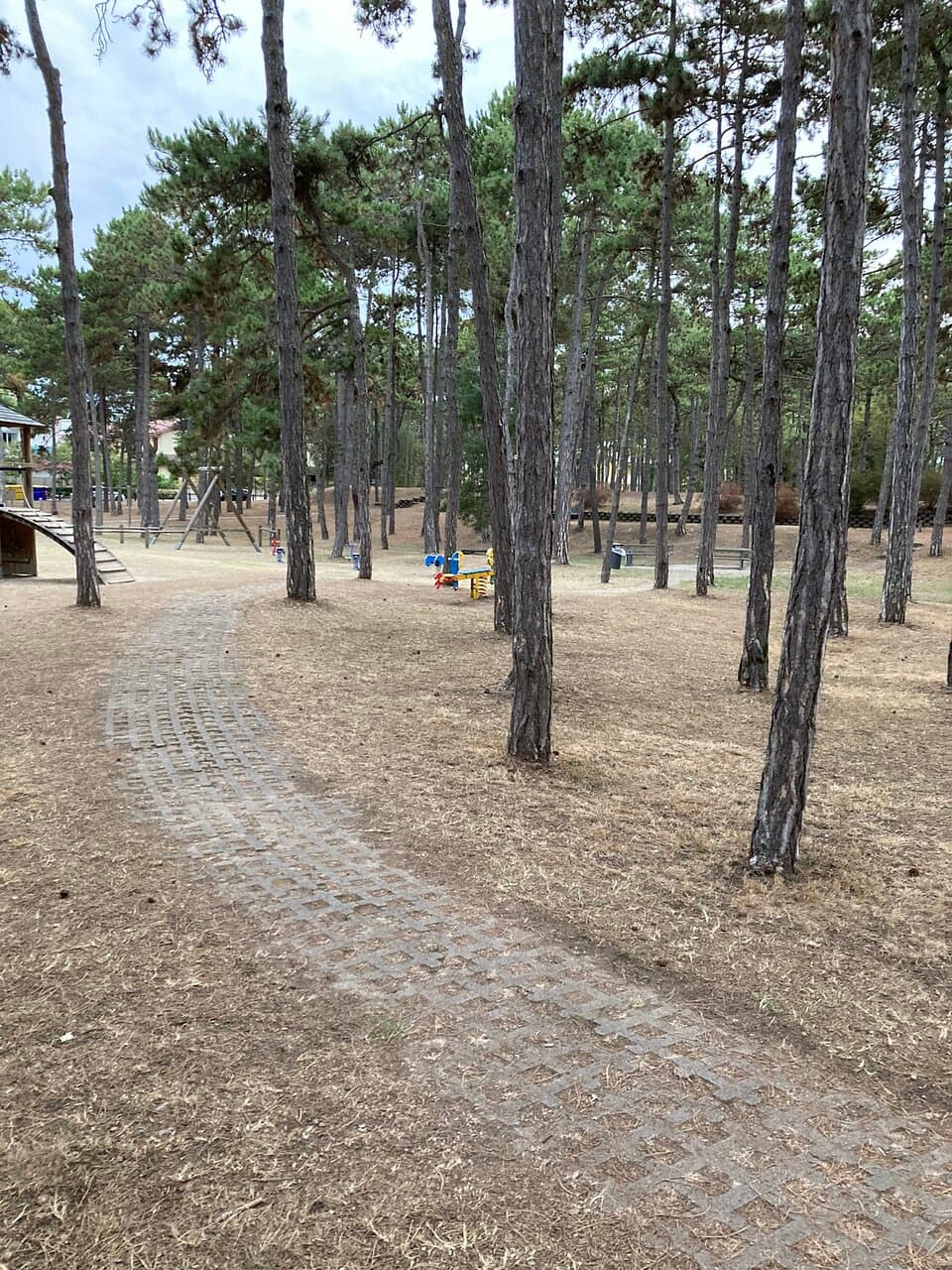 Parco Hemingway Garden Park sight Lignano Italiten