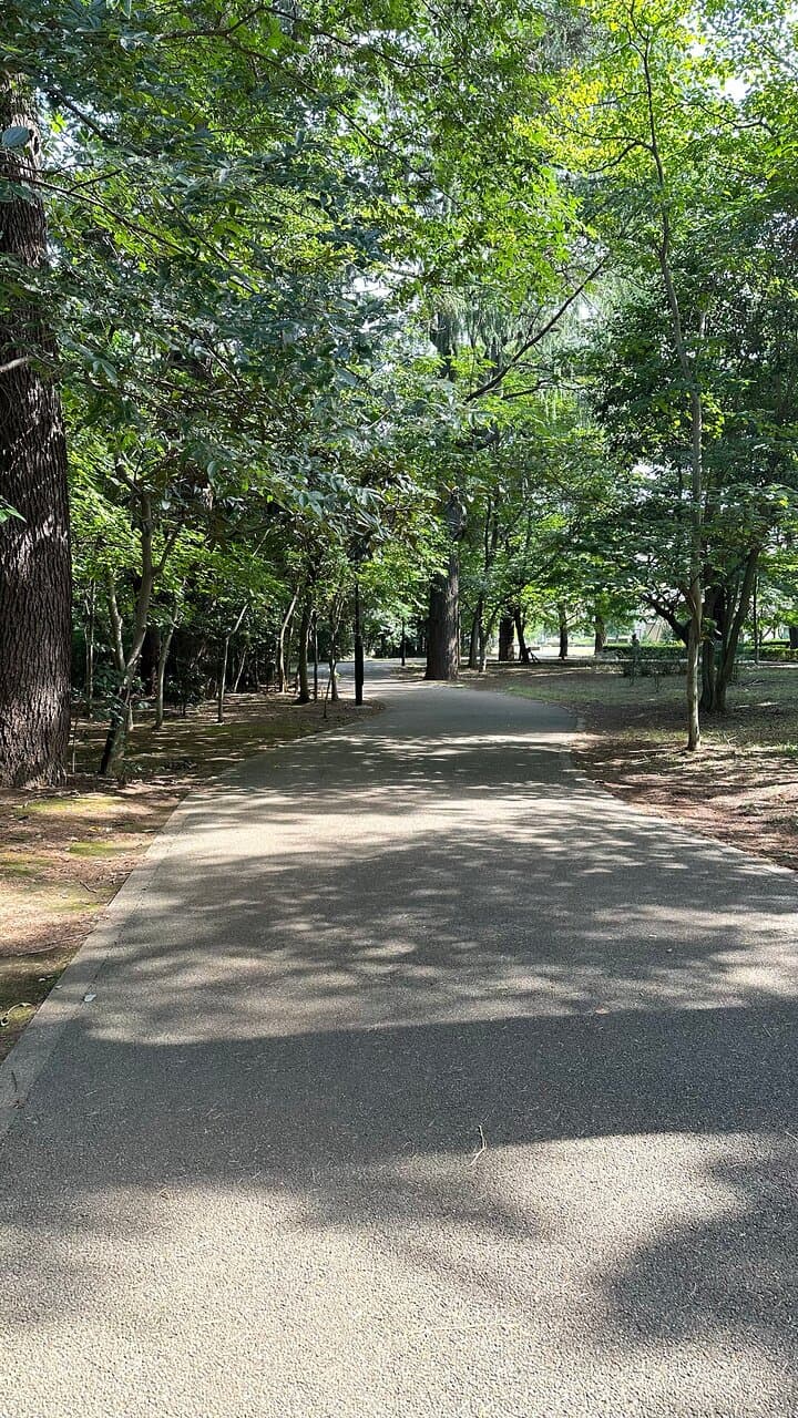 散歩に丁度良い