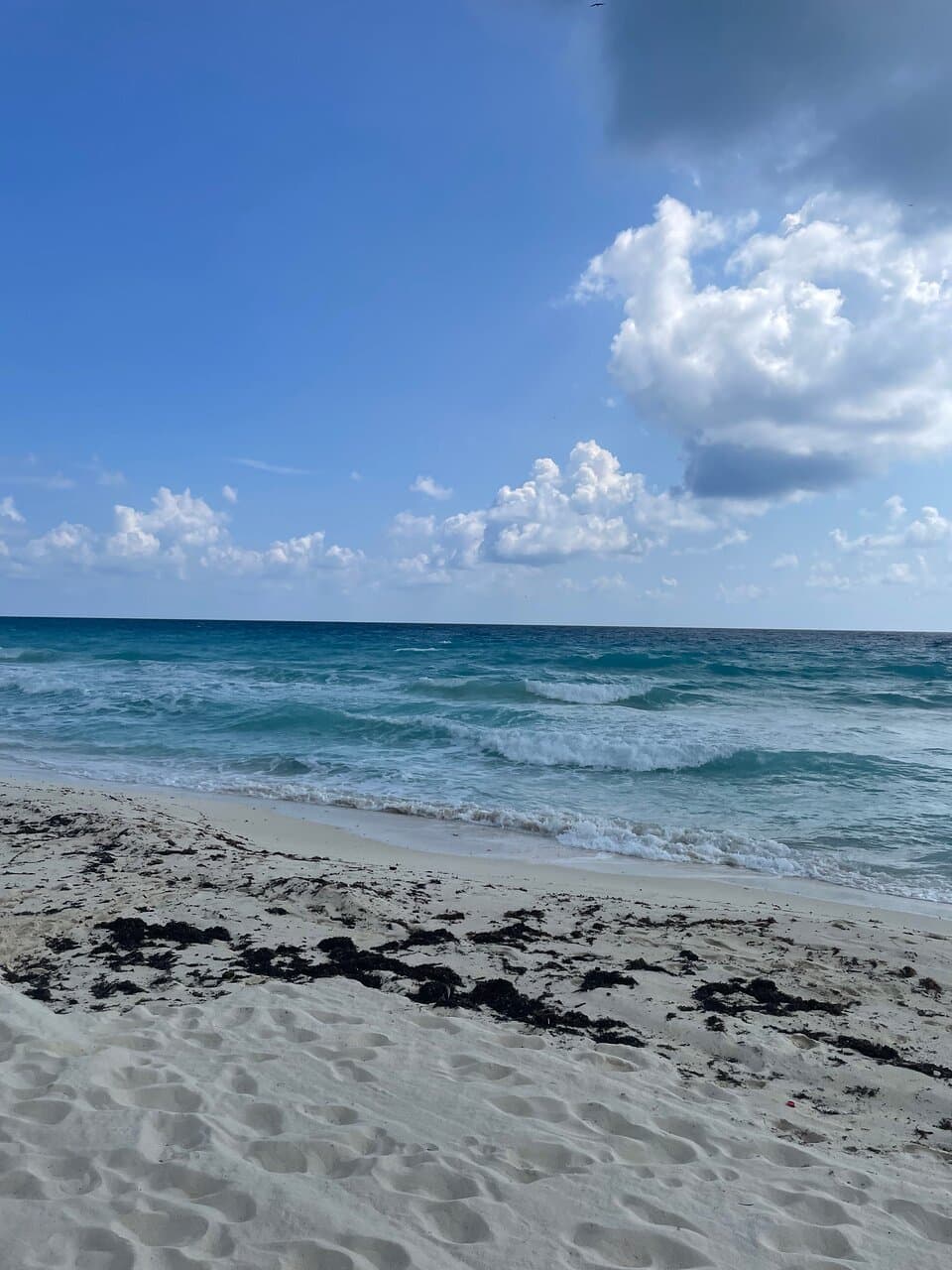 La mejor experiencia en el Oleo Cancun All inclusive 