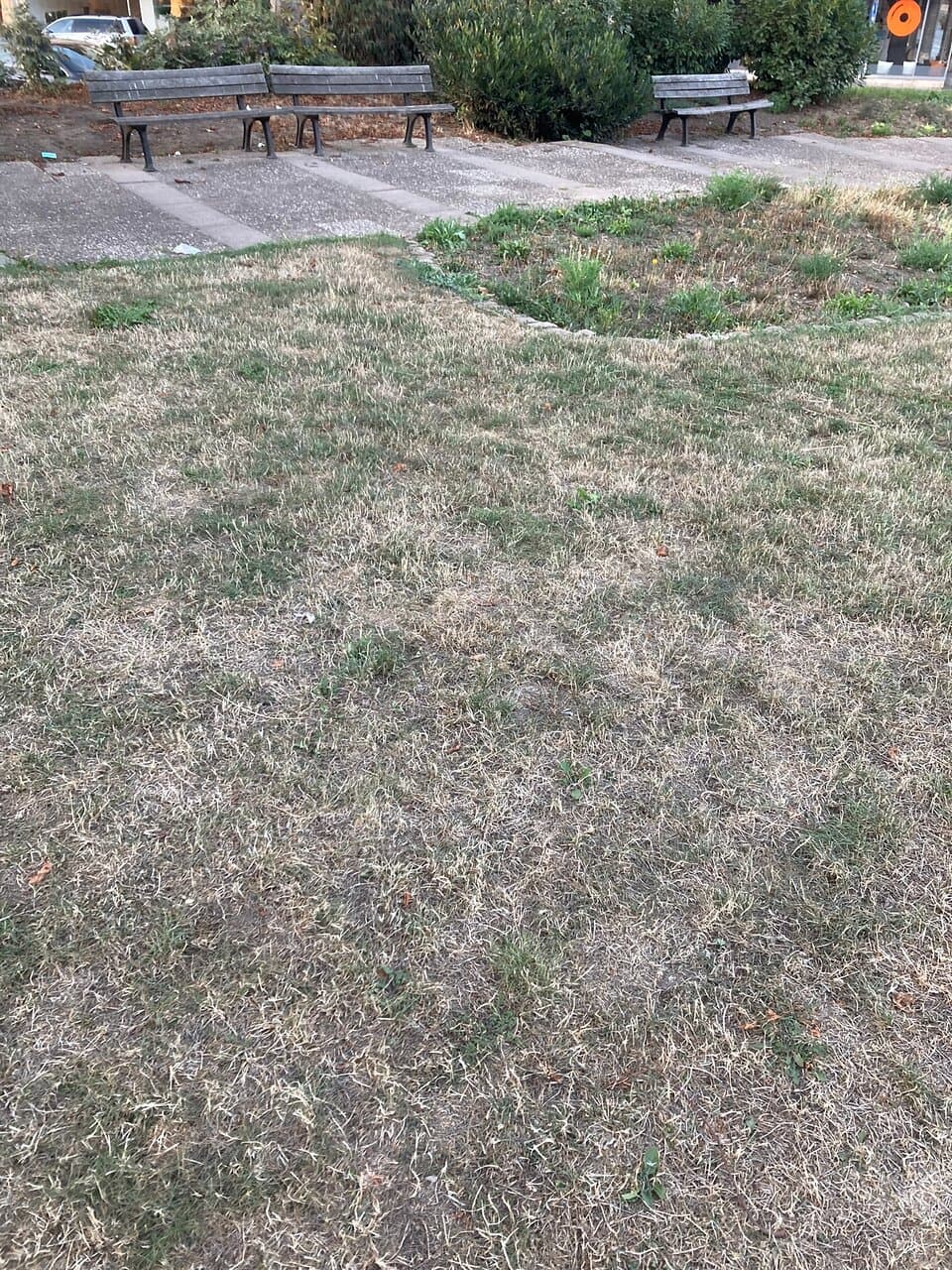 Park Brüder-Grimm-Platz