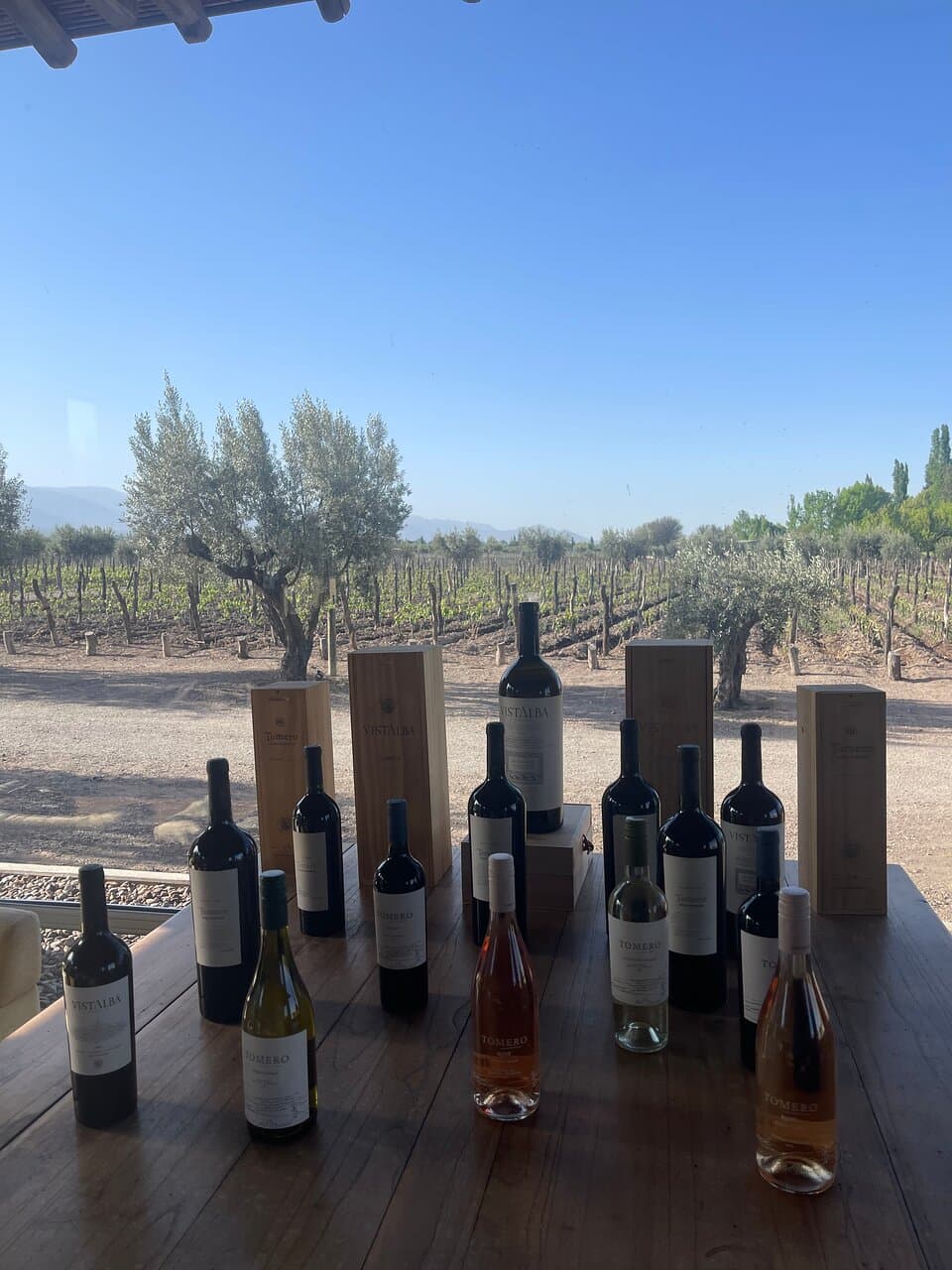 Bodega Vistalba