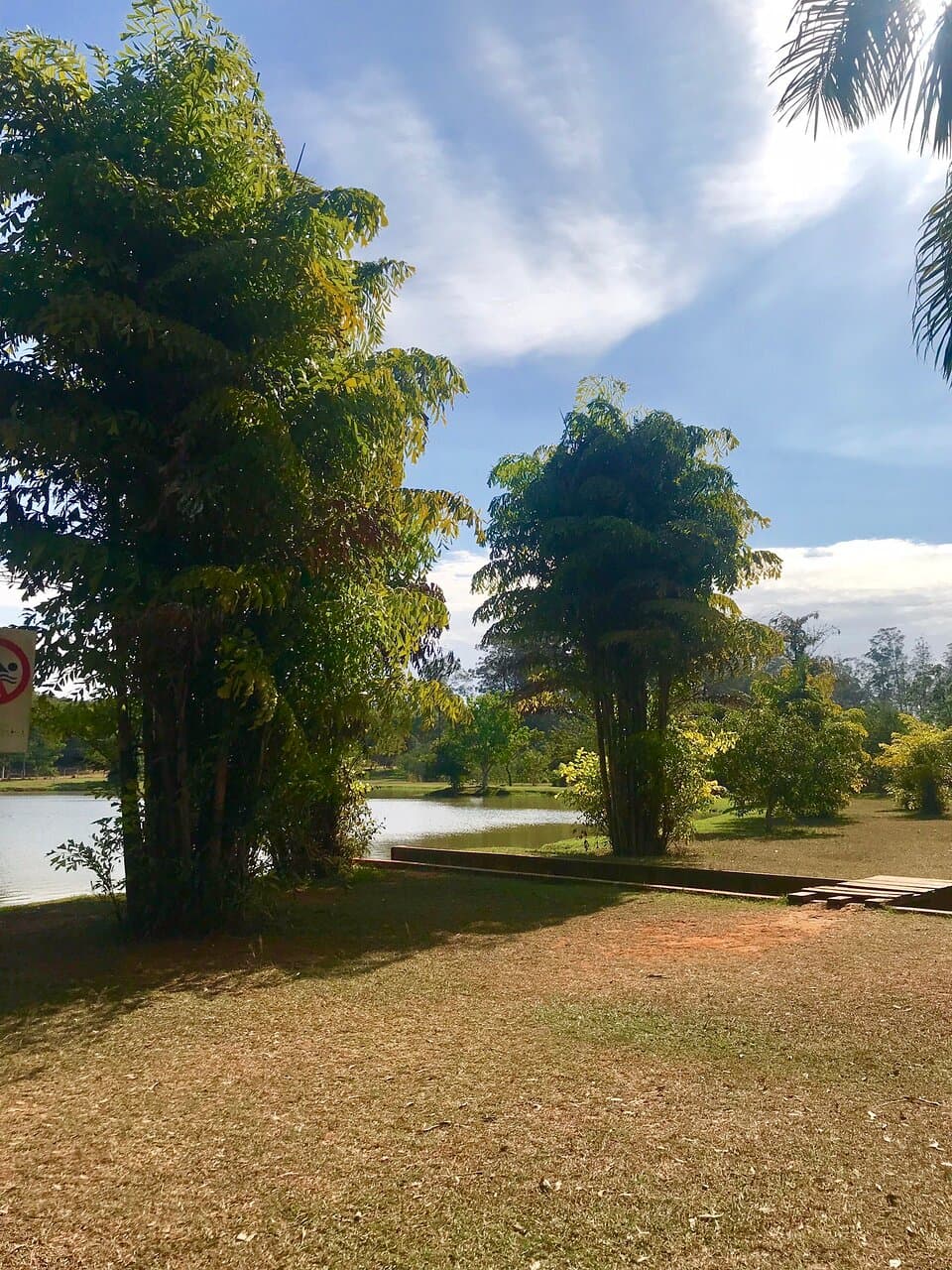 Horto Florestal Limeira São Paulo