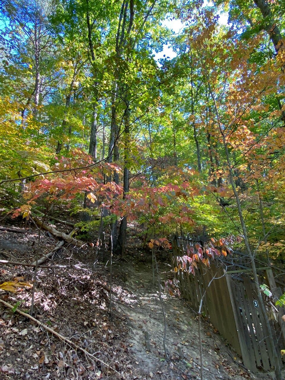 Jefferson Memorial Forest