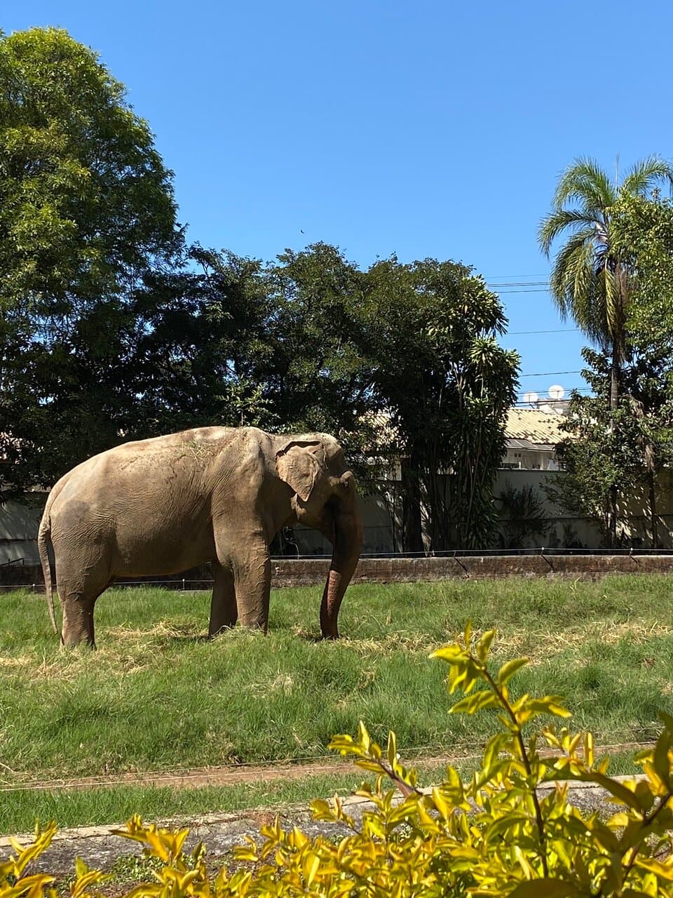 Parque Municipal Joaquim Amaral Amando de Barros Botucatu