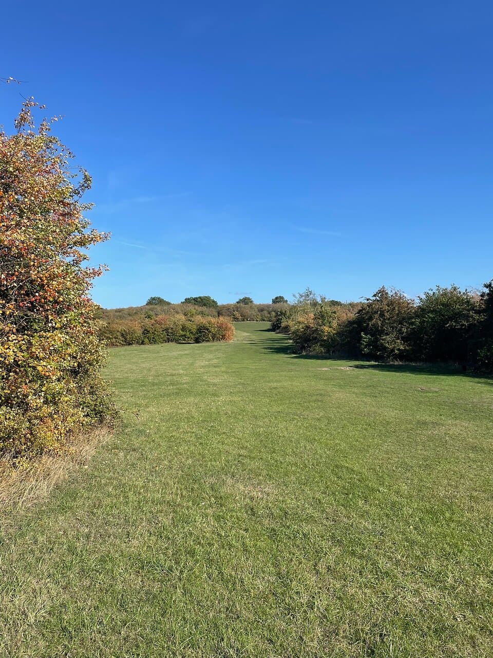 Duncan Down, Whitstable