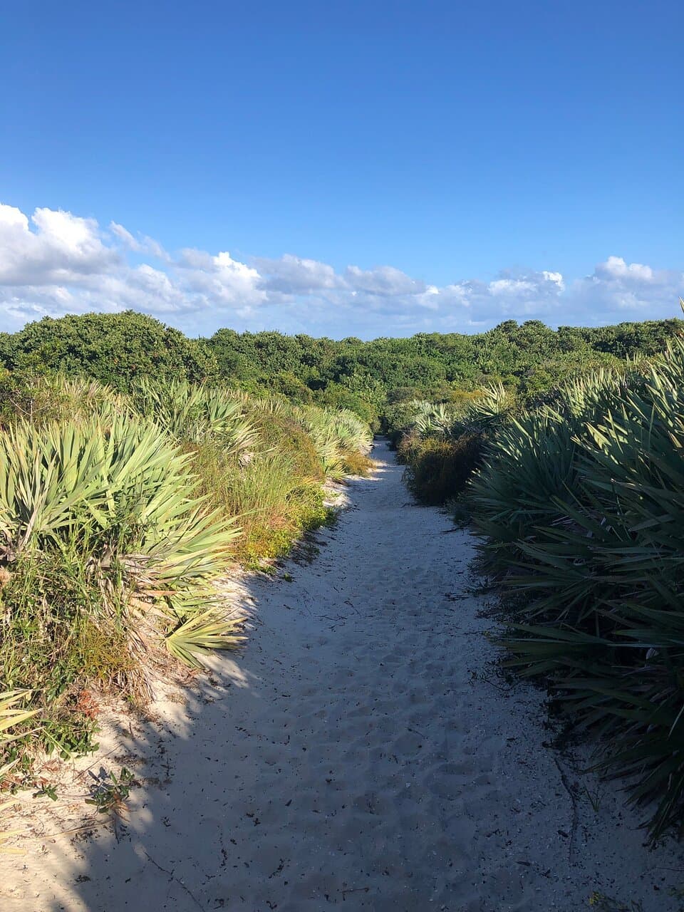 Juno Dunes Natural Area