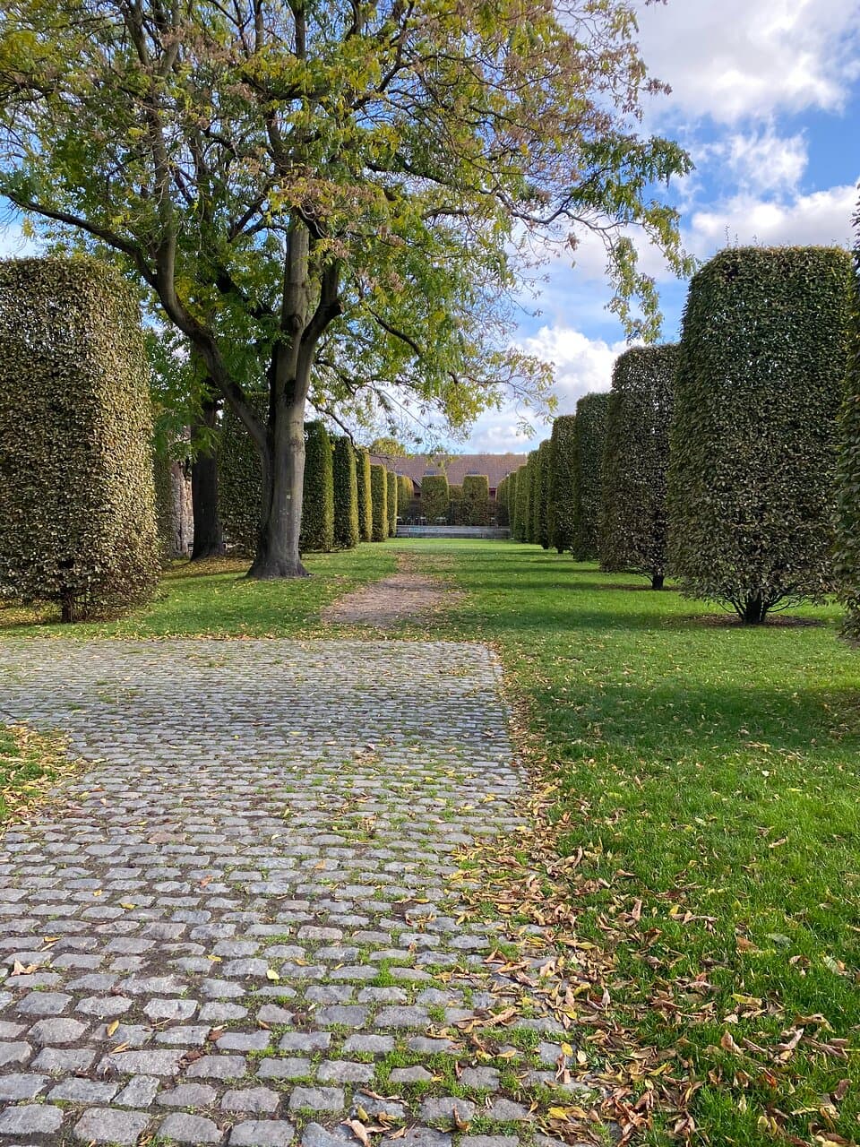 De beuken hagen in het park die de contouren van de vroegere kerk vormen.