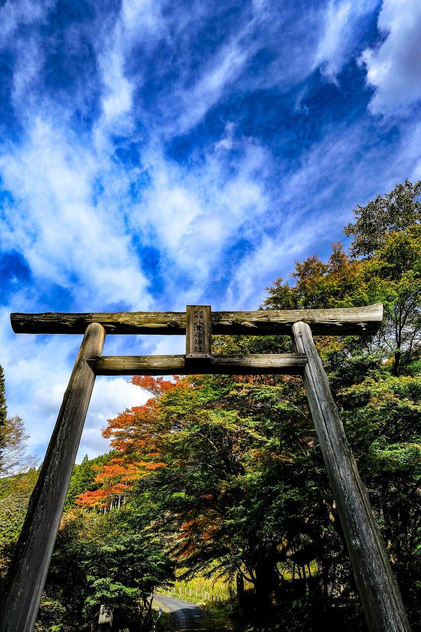 ここから登れます!