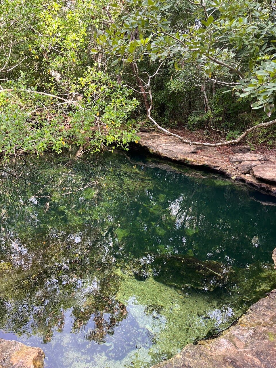 Von außen betrachtet eine wunderschöne cenote, mit der Möglichkeit abzutauchen.