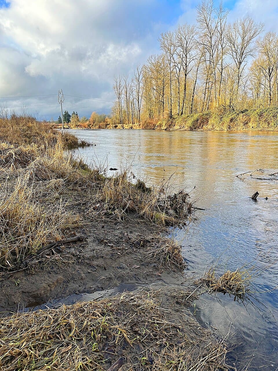Upstream view along the Molalla River.
